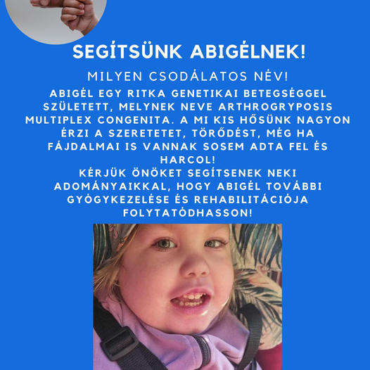 abigel adomanygyujtes